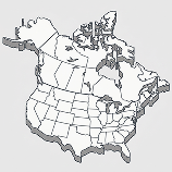 US &amp; Canada RFPs