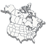US &amp; Canada RFPs